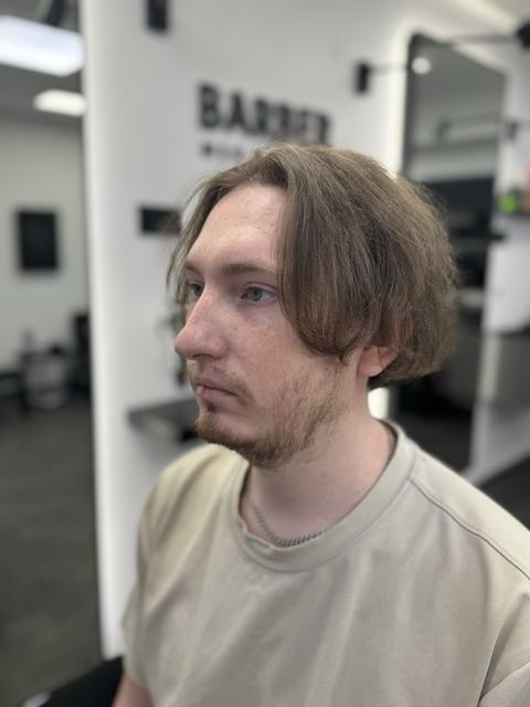 Muško šišanje na dugoj kosi: duži vrh, kratke strane. PHILIPP, Novi Sad